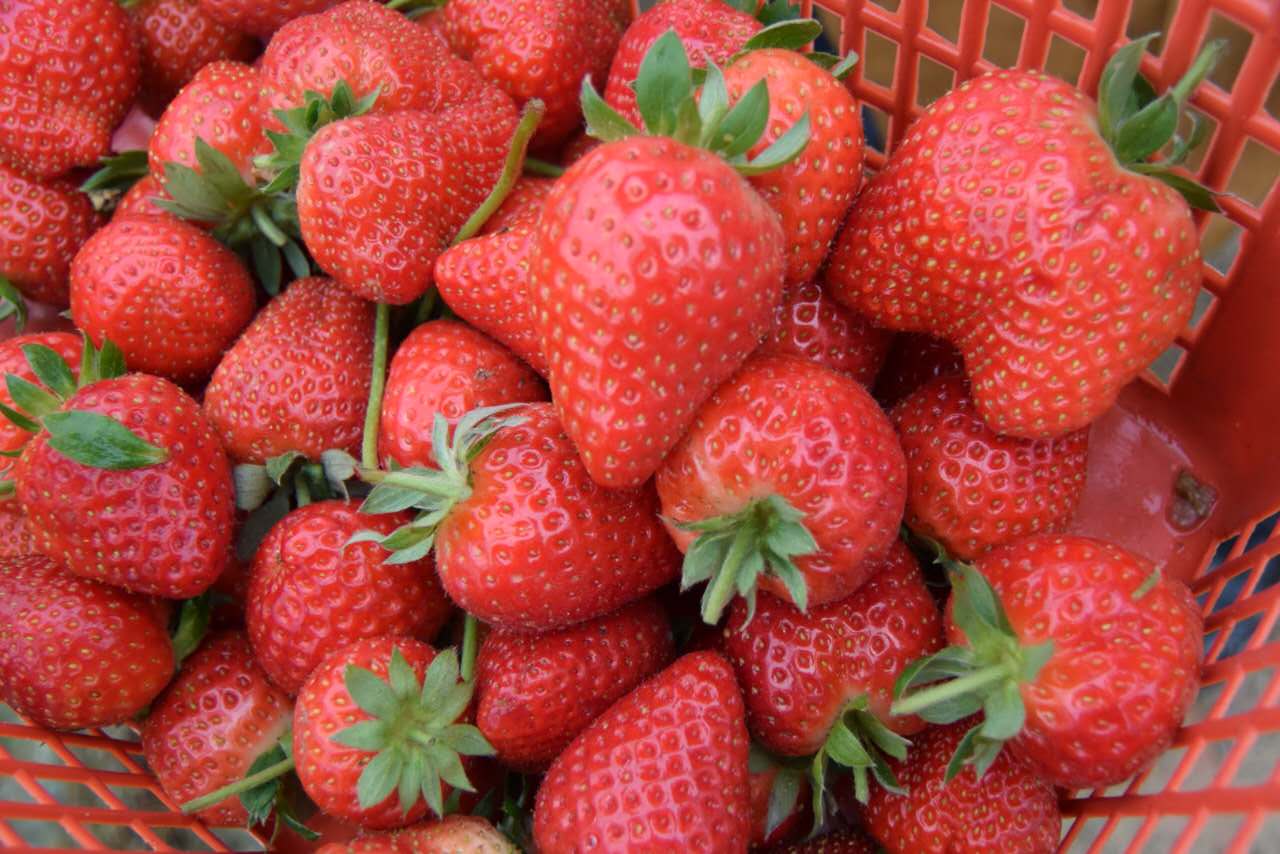 1756652760637952.jpeg 1756652760637952.jpeg